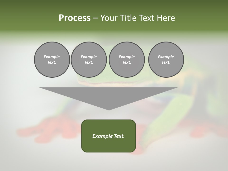 Reptile Tree Frog Colorful PowerPoint Template