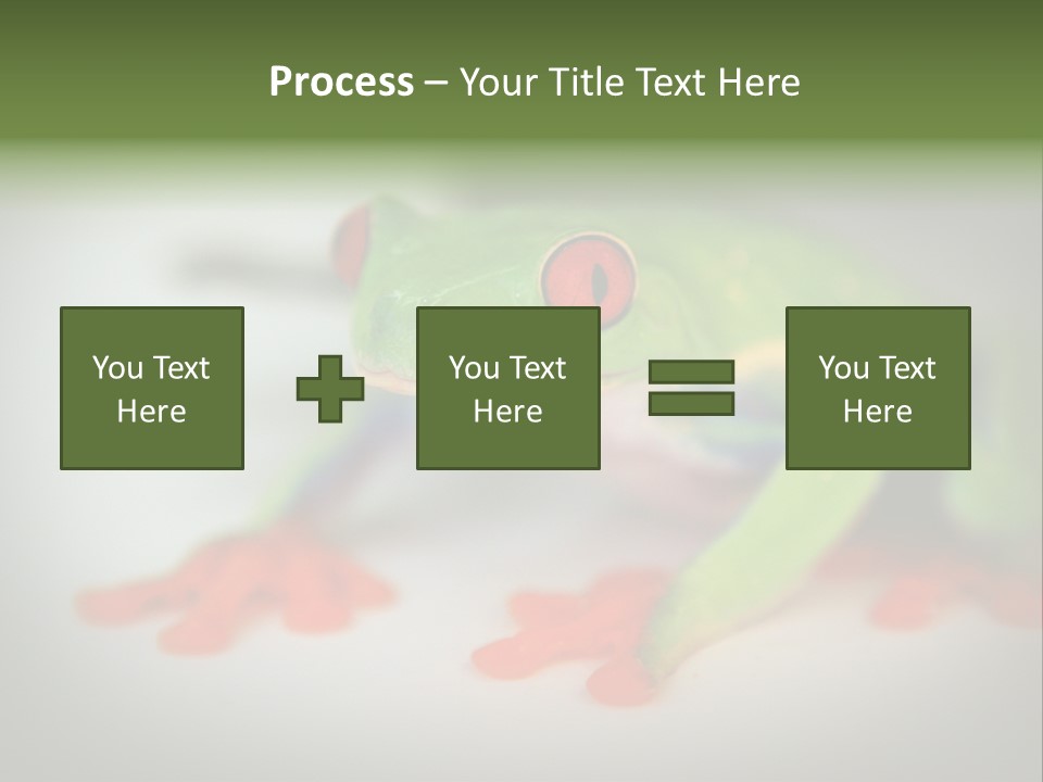 Reptile Tree Frog Colorful PowerPoint Template