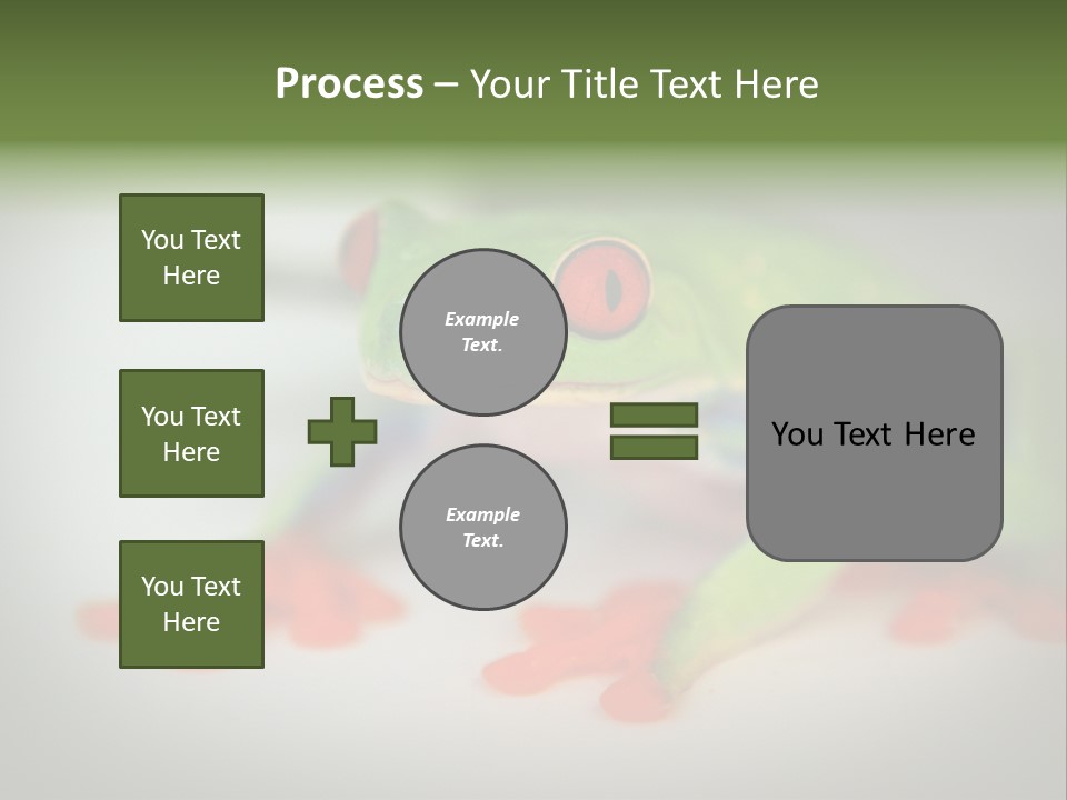 Reptile Tree Frog Colorful PowerPoint Template