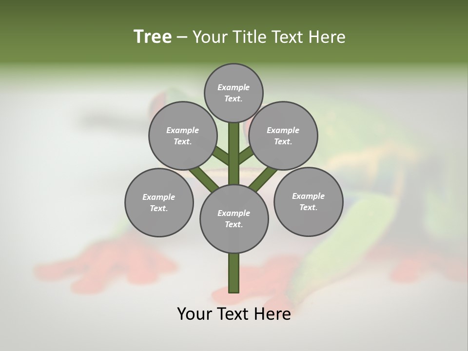 Reptile Tree Frog Colorful PowerPoint Template