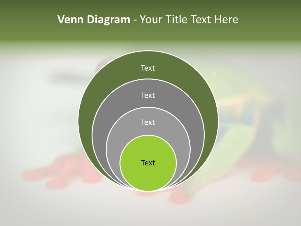Reptile Tree Frog Colorful PowerPoint Template