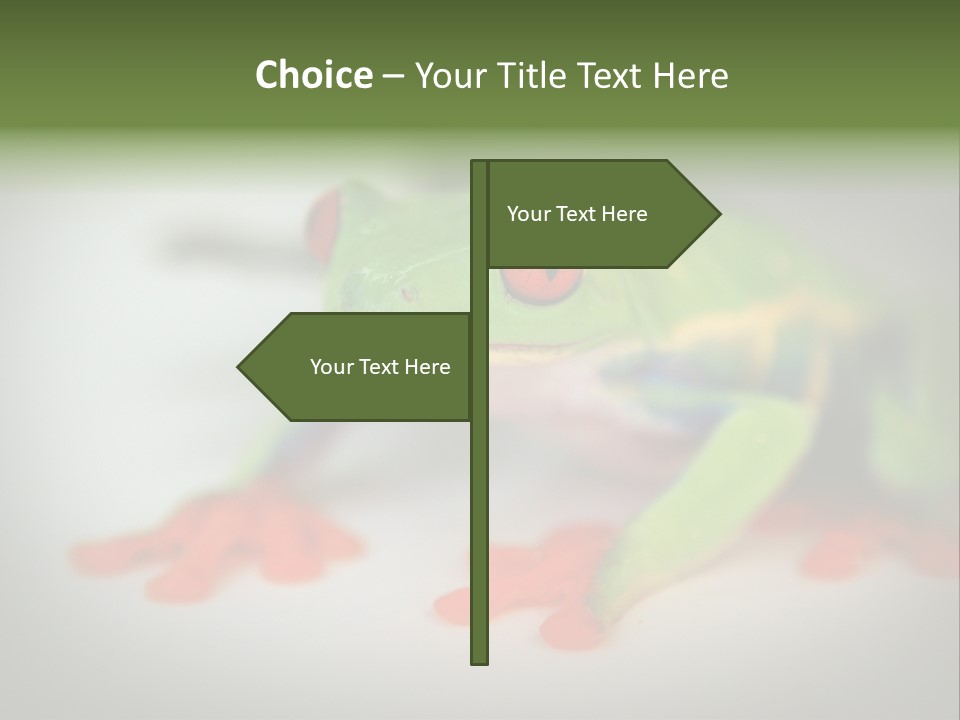 Reptile Tree Frog Colorful PowerPoint Template