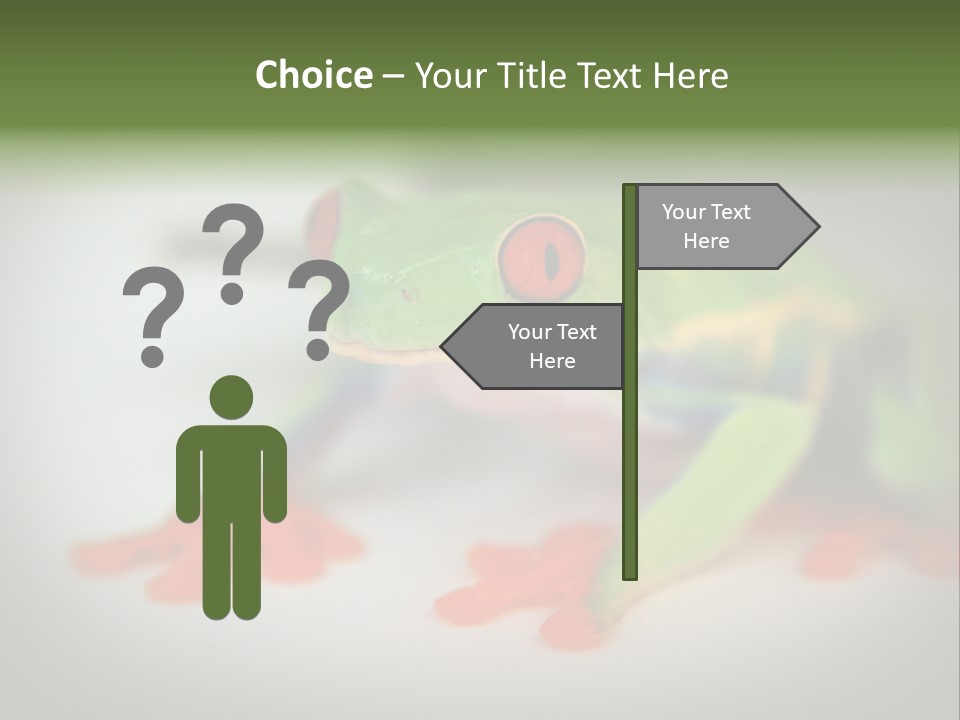 Reptile Tree Frog Colorful PowerPoint Template