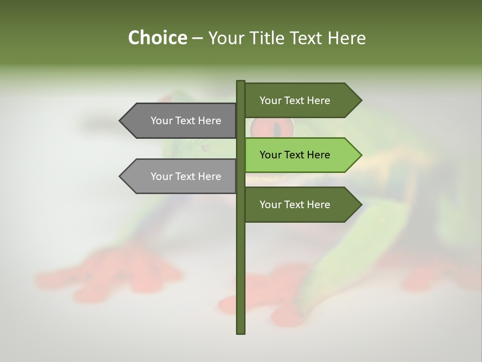 Reptile Tree Frog Colorful PowerPoint Template