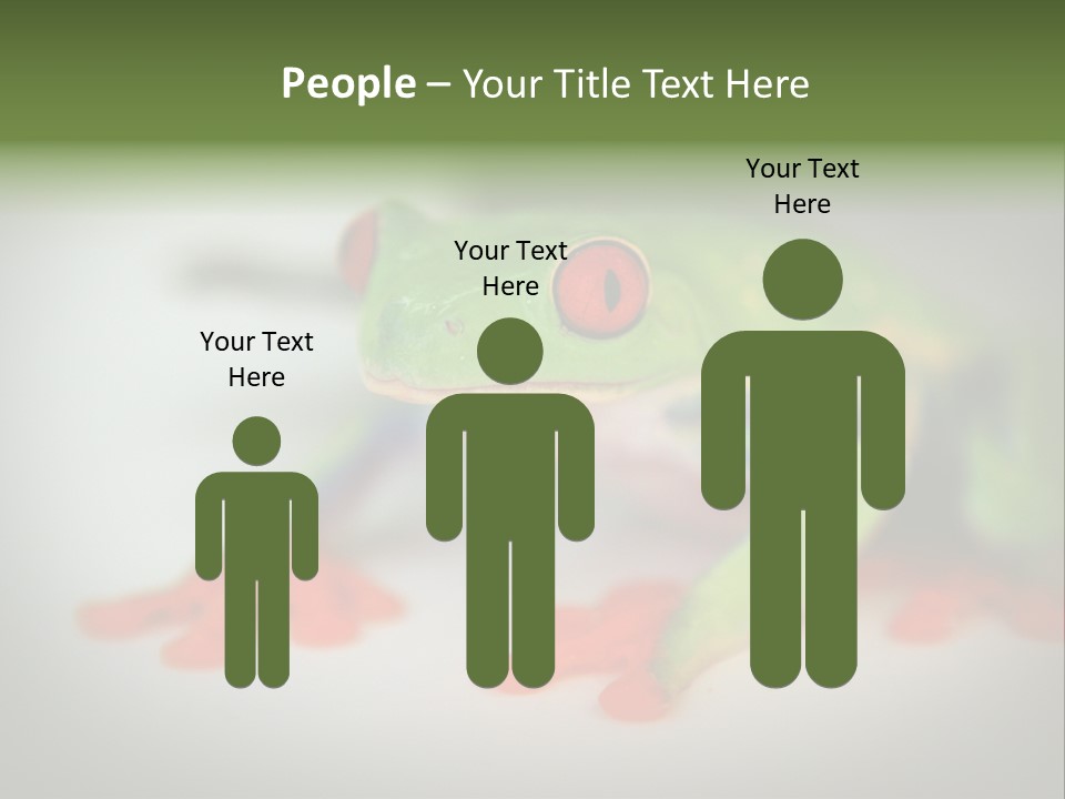 Reptile Tree Frog Colorful PowerPoint Template