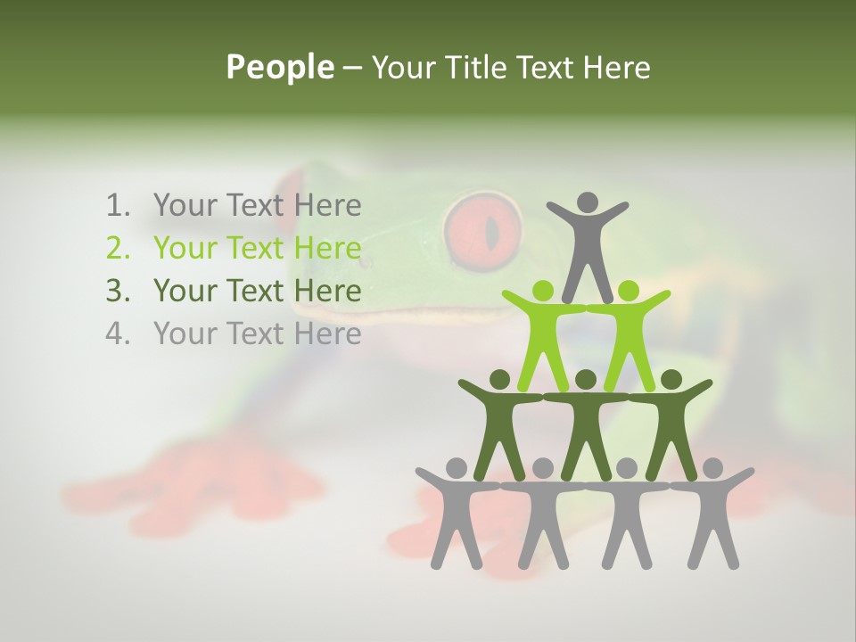 Reptile Tree Frog Colorful PowerPoint Template