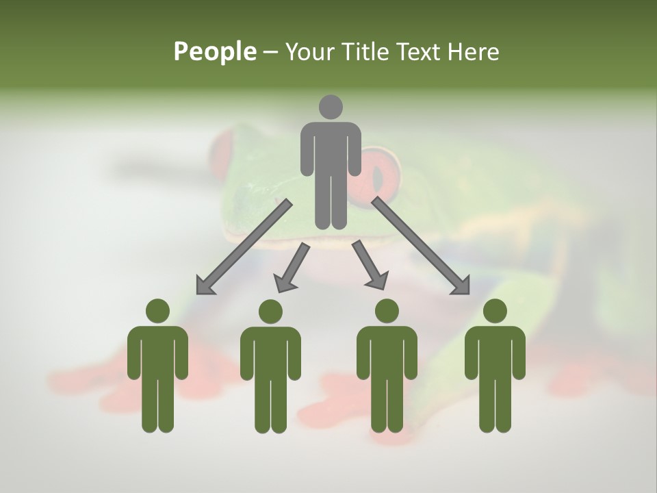 Reptile Tree Frog Colorful PowerPoint Template