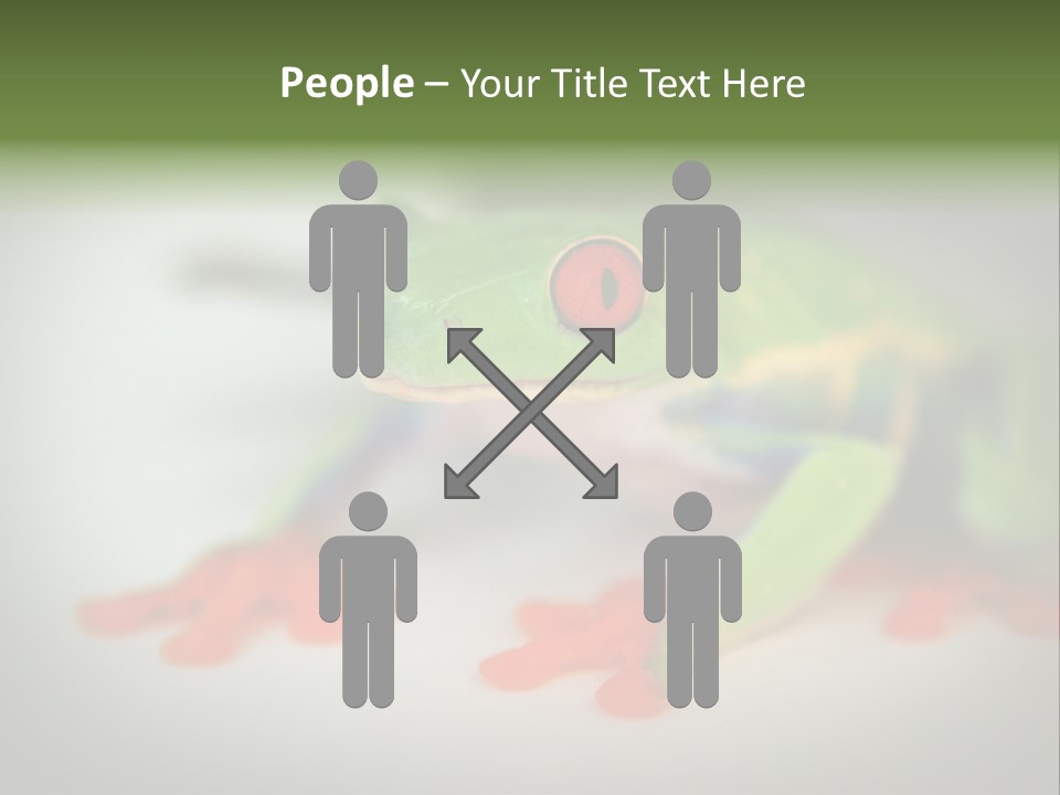 Reptile Tree Frog Colorful PowerPoint Template