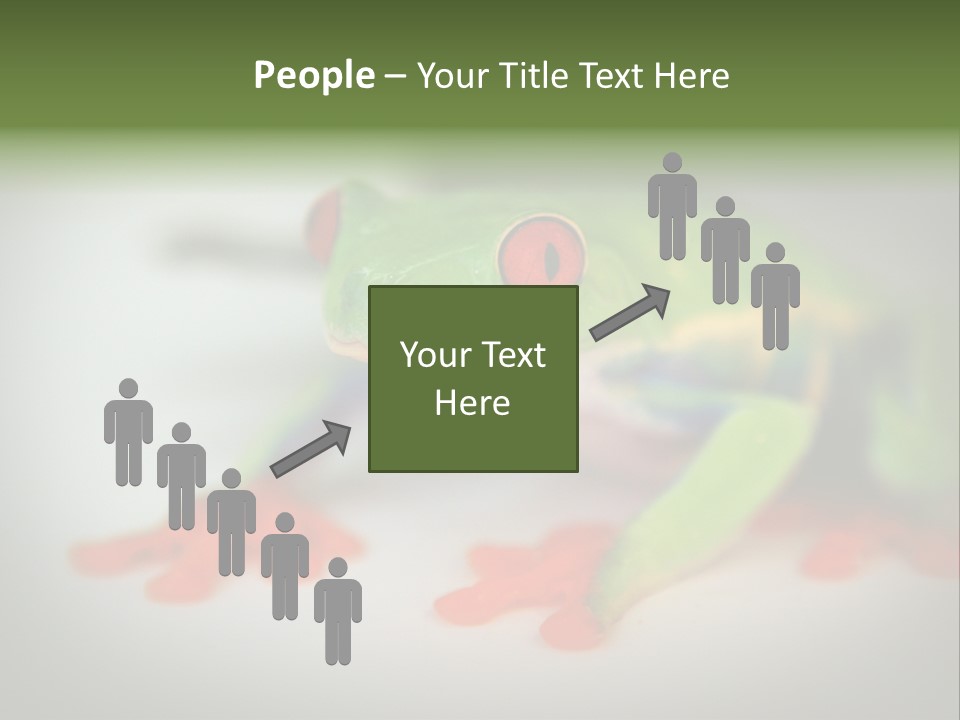 Reptile Tree Frog Colorful PowerPoint Template