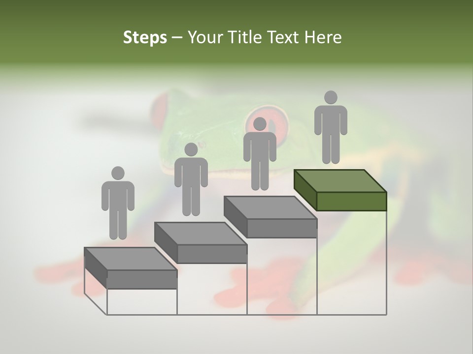 Reptile Tree Frog Colorful PowerPoint Template