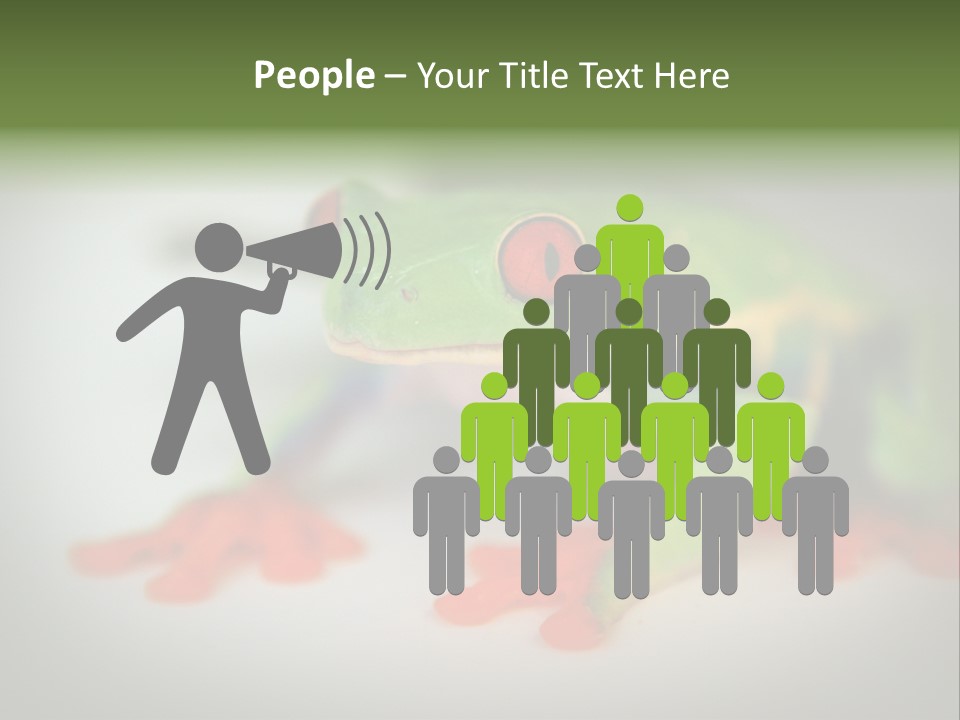 Reptile Tree Frog Colorful PowerPoint Template