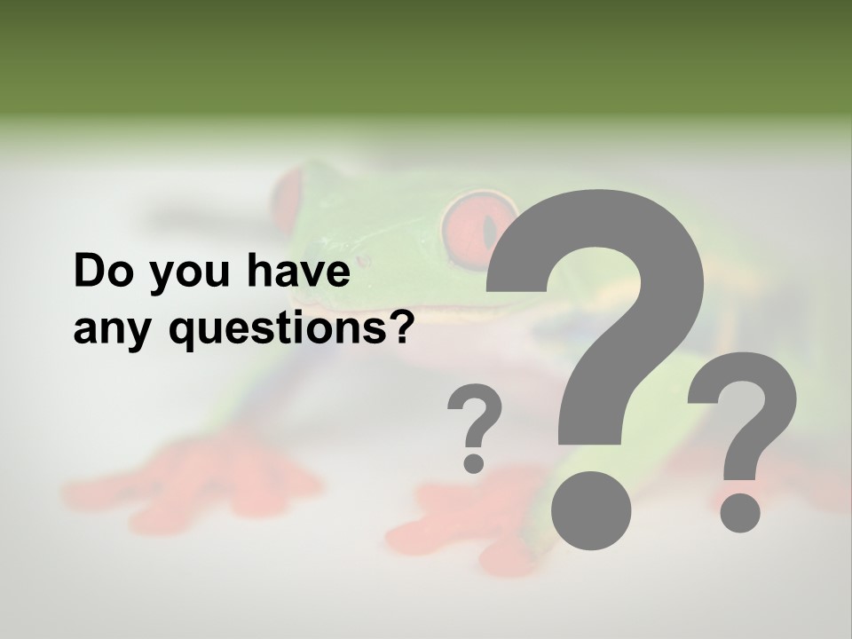 Reptile Tree Frog Colorful PowerPoint Template