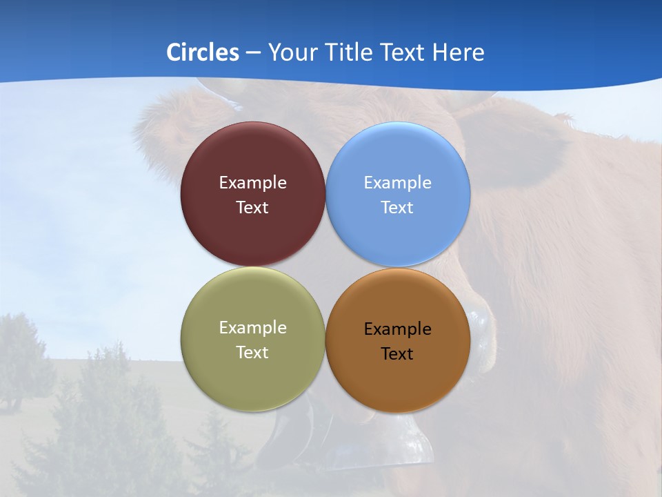 Purity Lake Hiker PowerPoint Template