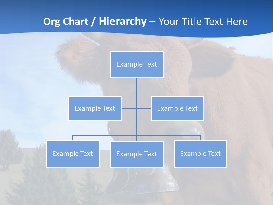 Purity Lake Hiker PowerPoint Template