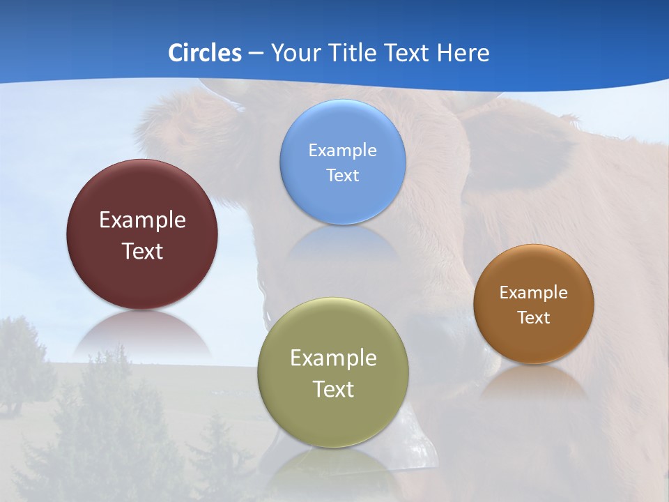 Purity Lake Hiker PowerPoint Template