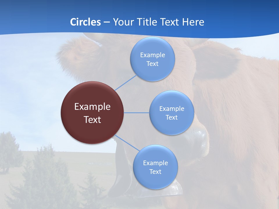 Purity Lake Hiker PowerPoint Template