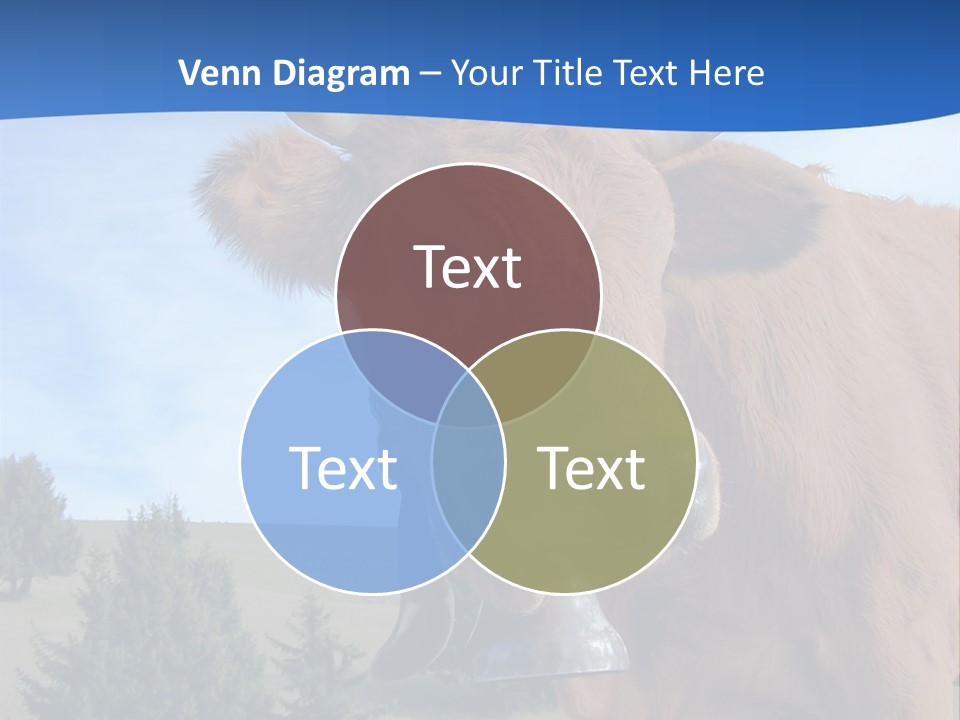 Purity Lake Hiker PowerPoint Template