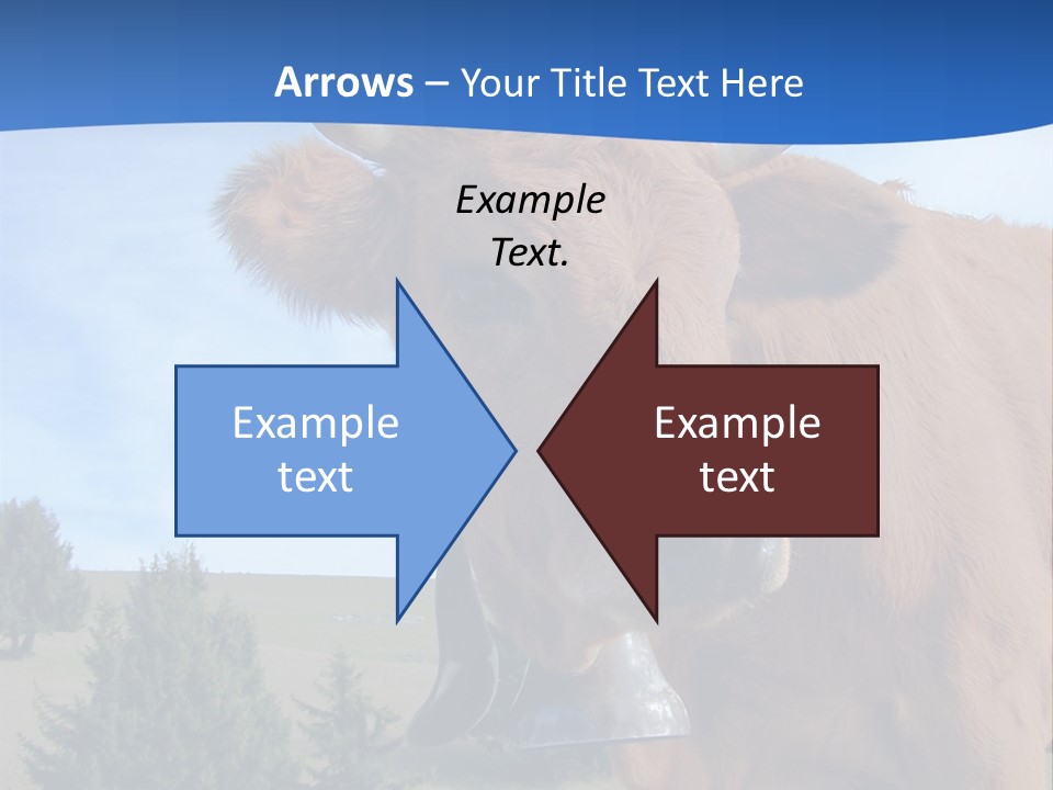 Purity Lake Hiker PowerPoint Template