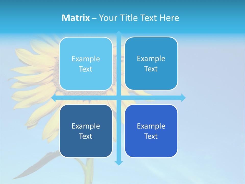 Blossom Yellow Flower PowerPoint Template