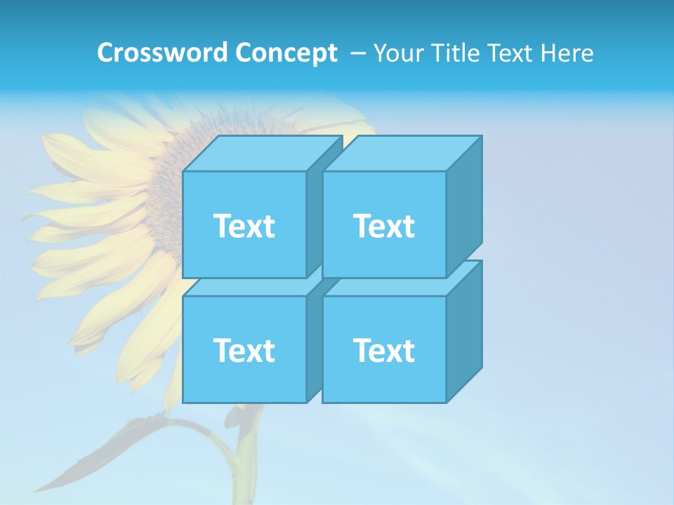 Blossom Yellow Flower PowerPoint Template