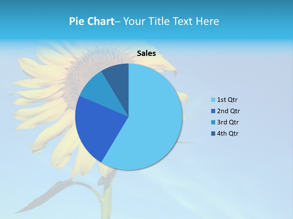 Blossom Yellow Flower PowerPoint Template