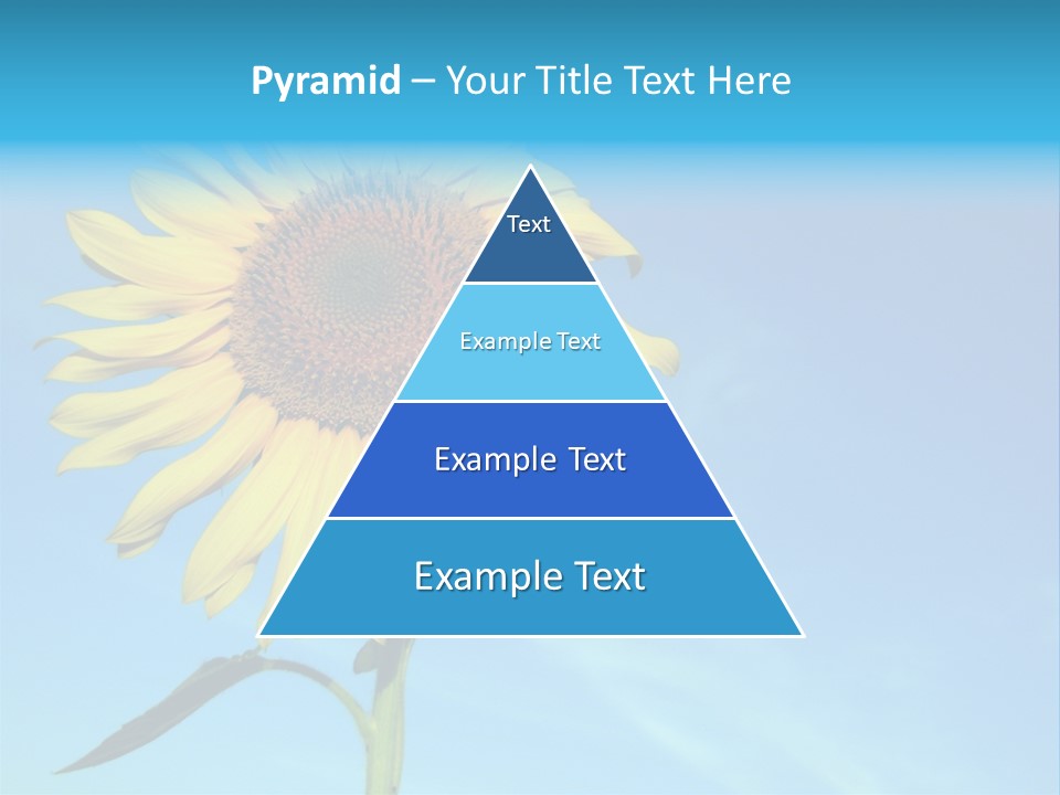 Blossom Yellow Flower PowerPoint Template