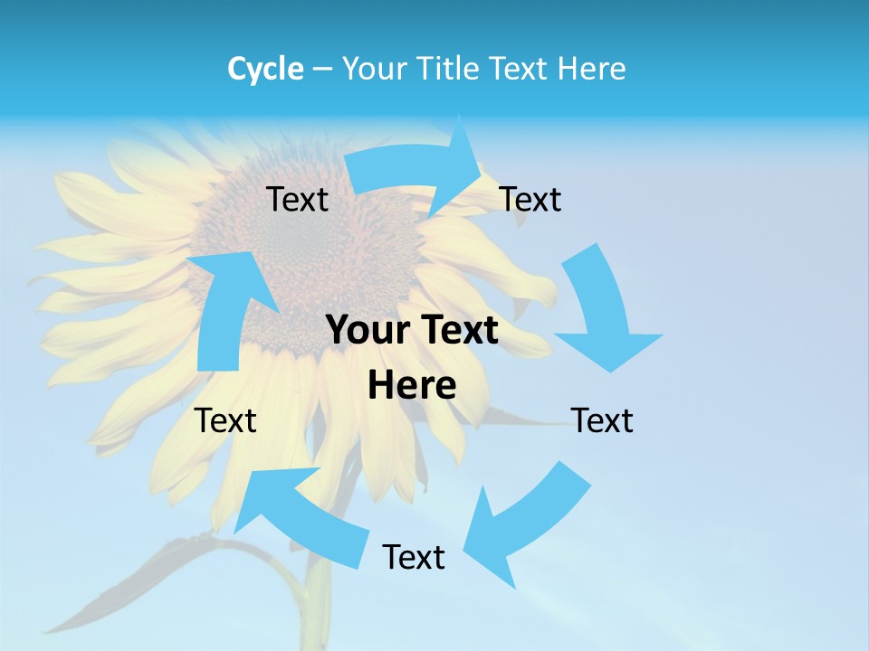 Blossom Yellow Flower PowerPoint Template