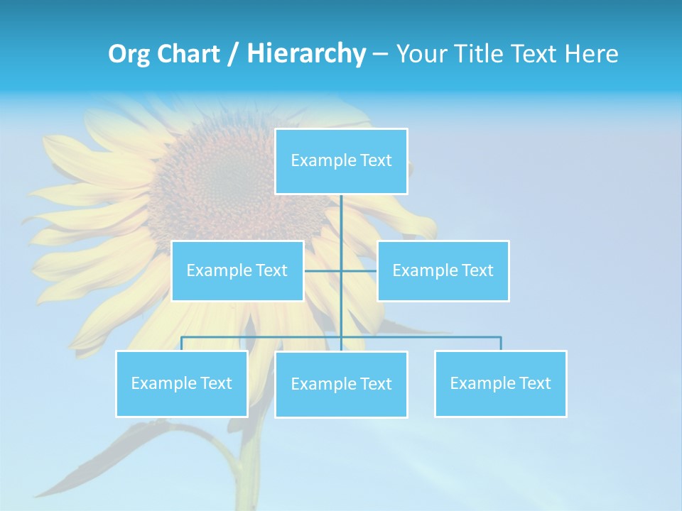 Blossom Yellow Flower PowerPoint Template
