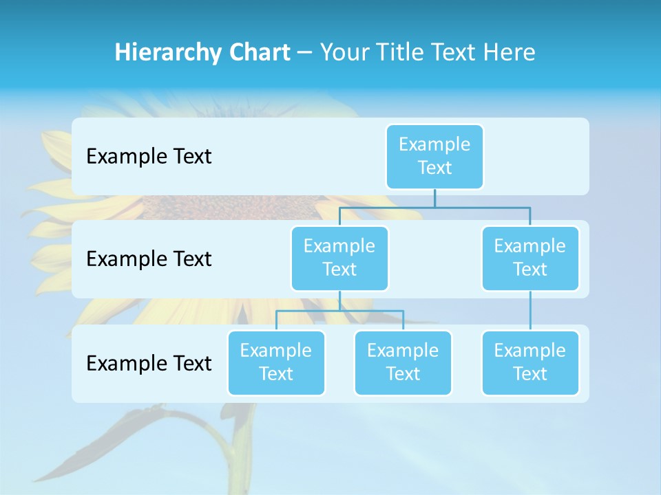 Blossom Yellow Flower PowerPoint Template