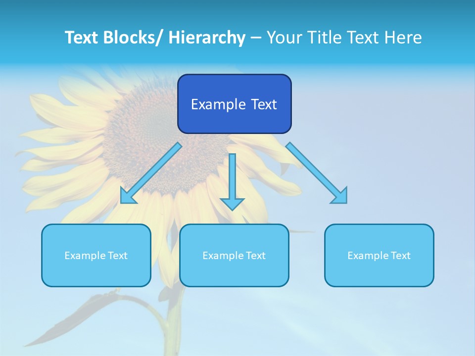 Blossom Yellow Flower PowerPoint Template
