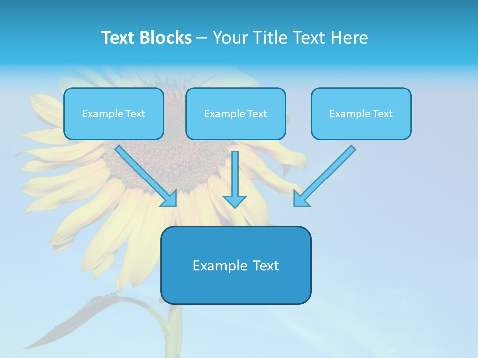 Blossom Yellow Flower PowerPoint Template