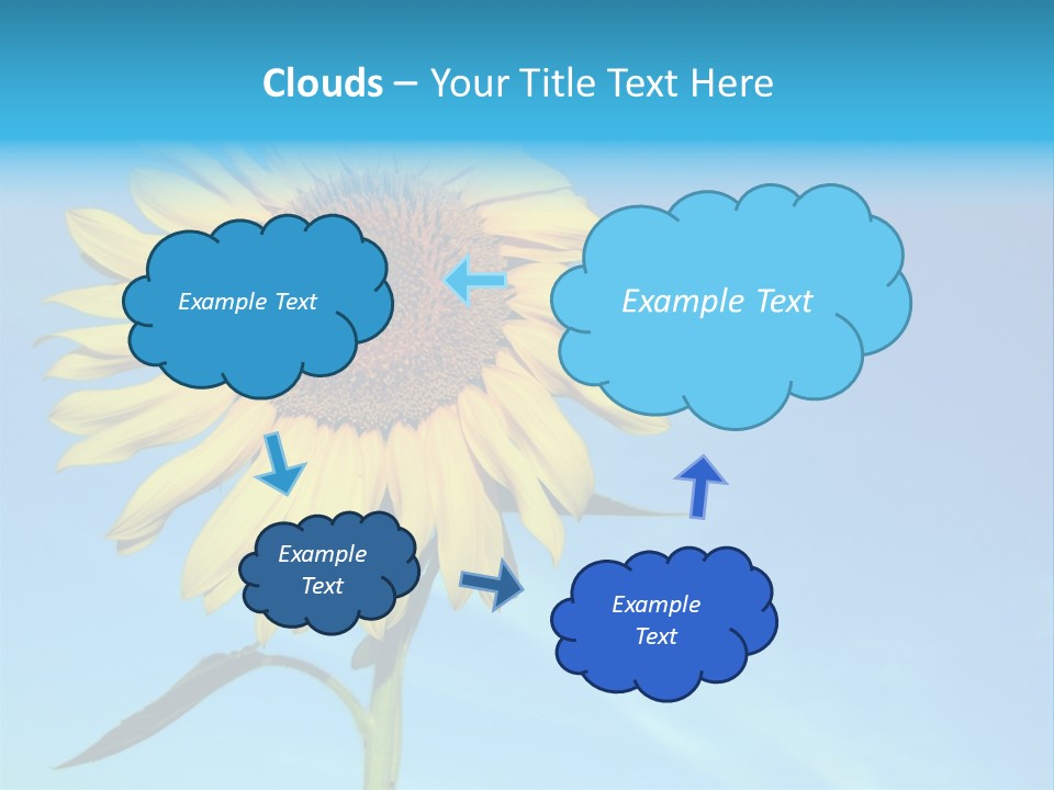 Blossom Yellow Flower PowerPoint Template