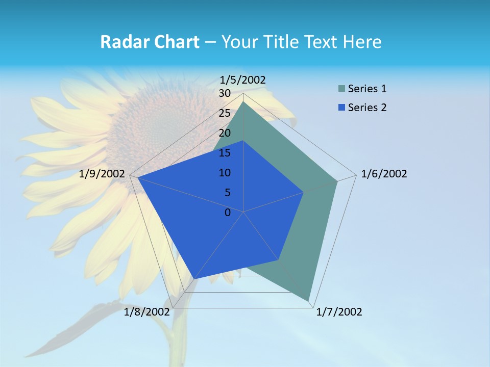 Blossom Yellow Flower PowerPoint Template