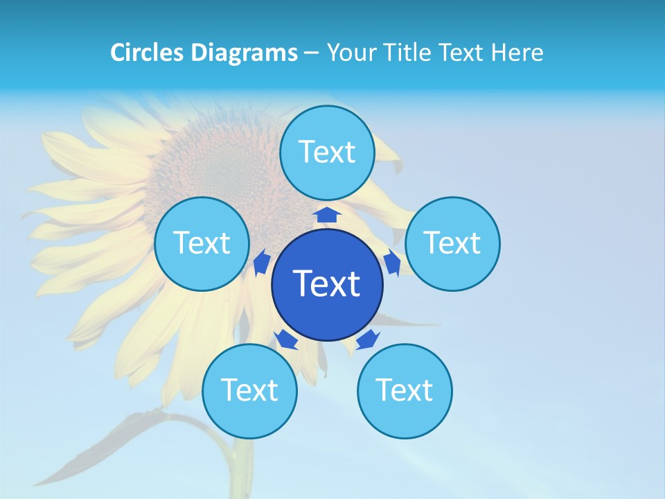 Blossom Yellow Flower PowerPoint Template