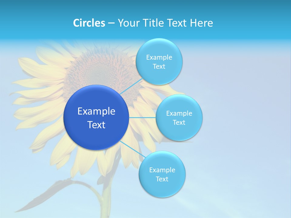 Blossom Yellow Flower PowerPoint Template