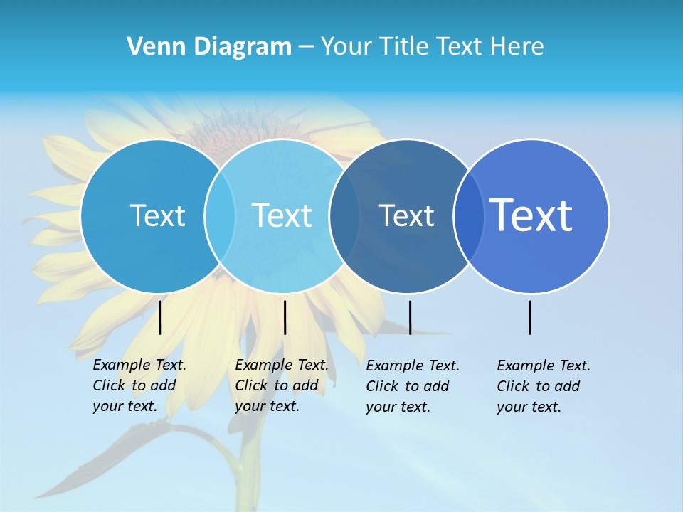 Blossom Yellow Flower PowerPoint Template