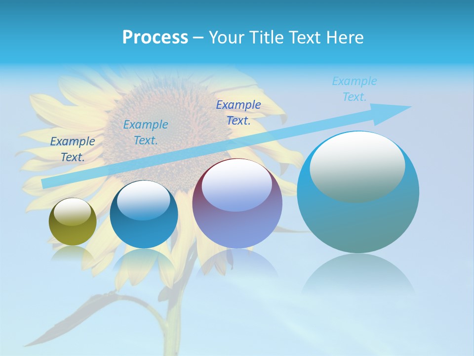 Blossom Yellow Flower PowerPoint Template