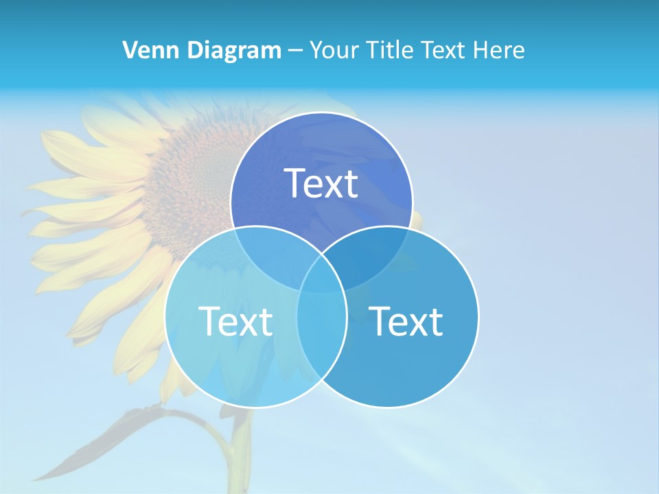 Blossom Yellow Flower PowerPoint Template