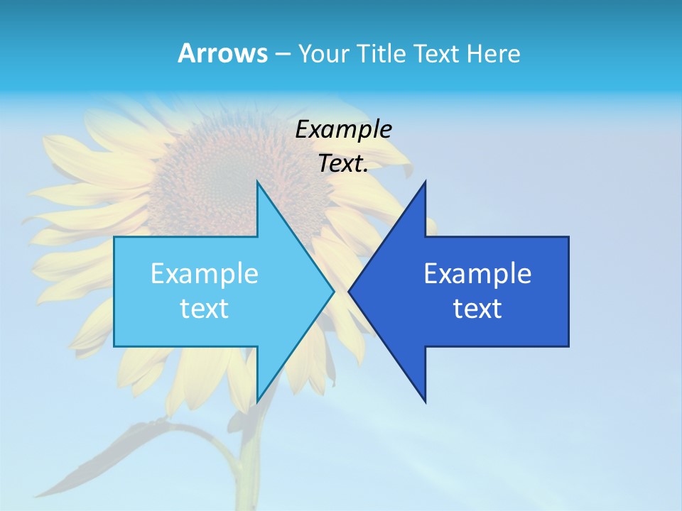 Blossom Yellow Flower PowerPoint Template