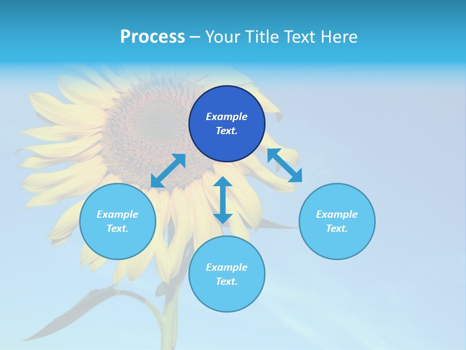 Blossom Yellow Flower PowerPoint Template