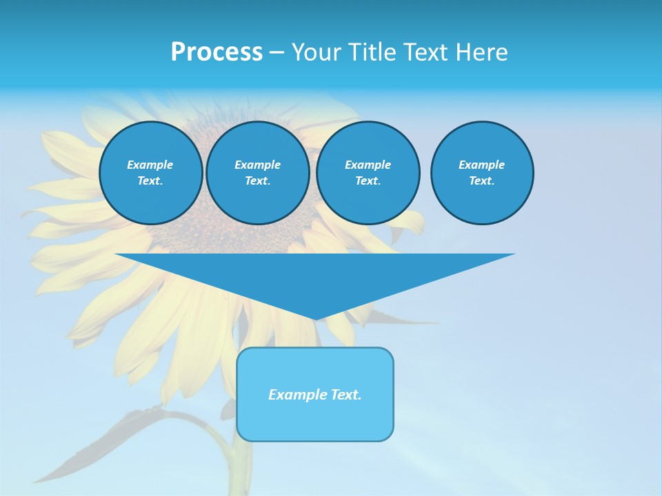 Blossom Yellow Flower PowerPoint Template
