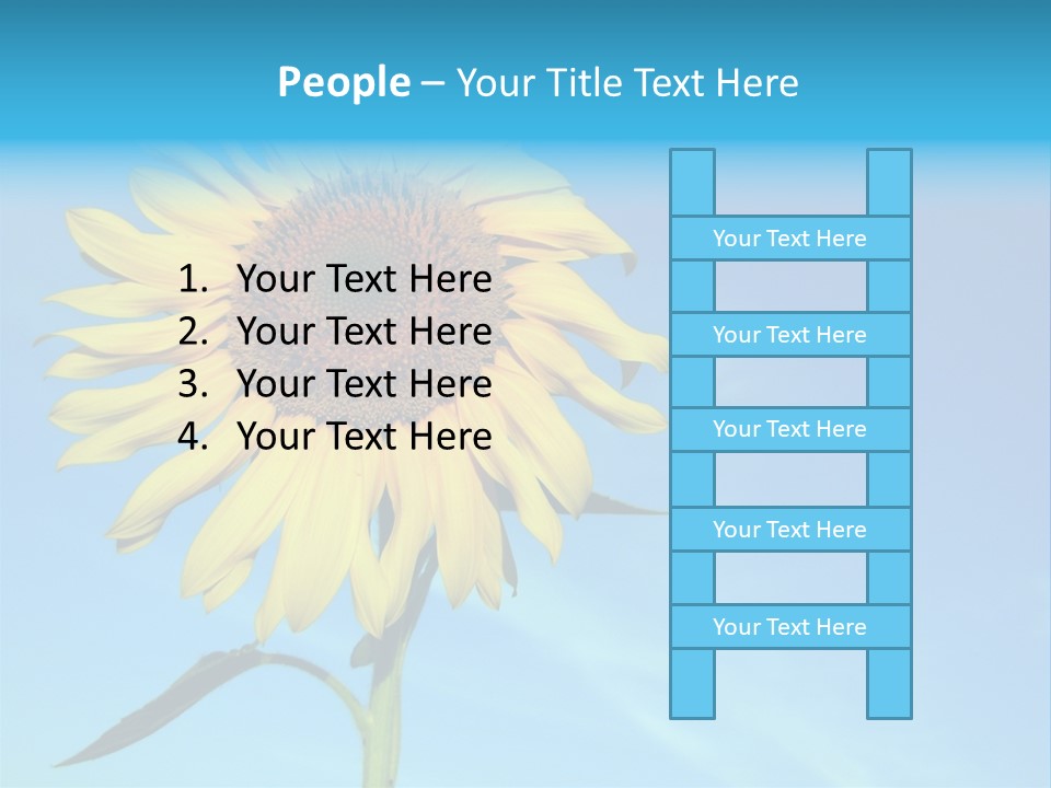 Blossom Yellow Flower PowerPoint Template