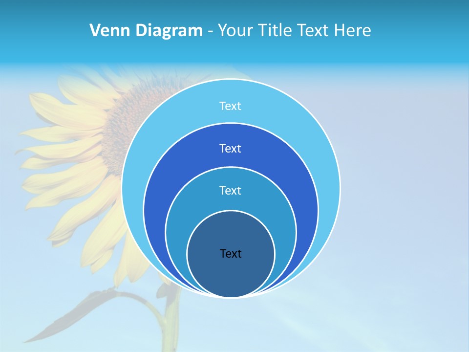 Blossom Yellow Flower PowerPoint Template