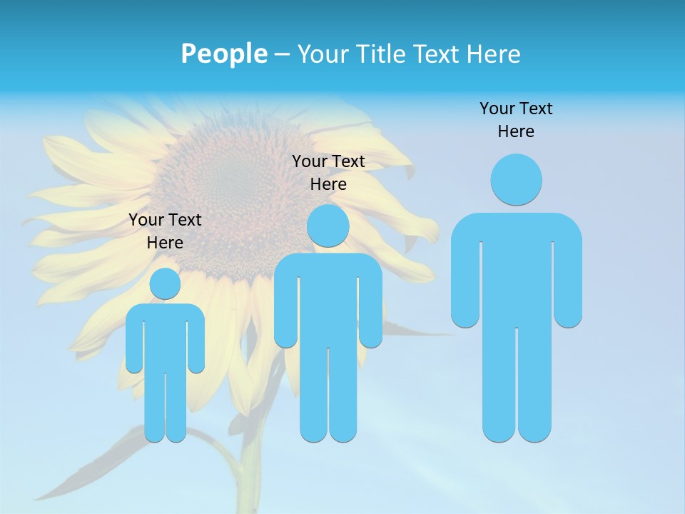 Blossom Yellow Flower PowerPoint Template