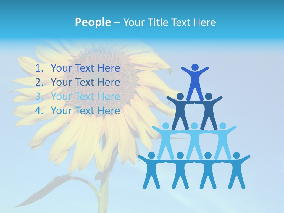 Blossom Yellow Flower PowerPoint Template