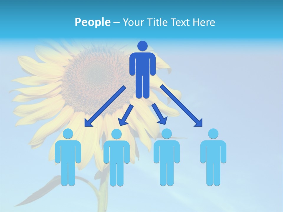 Blossom Yellow Flower PowerPoint Template