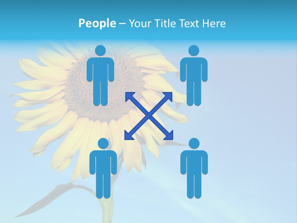 Blossom Yellow Flower PowerPoint Template