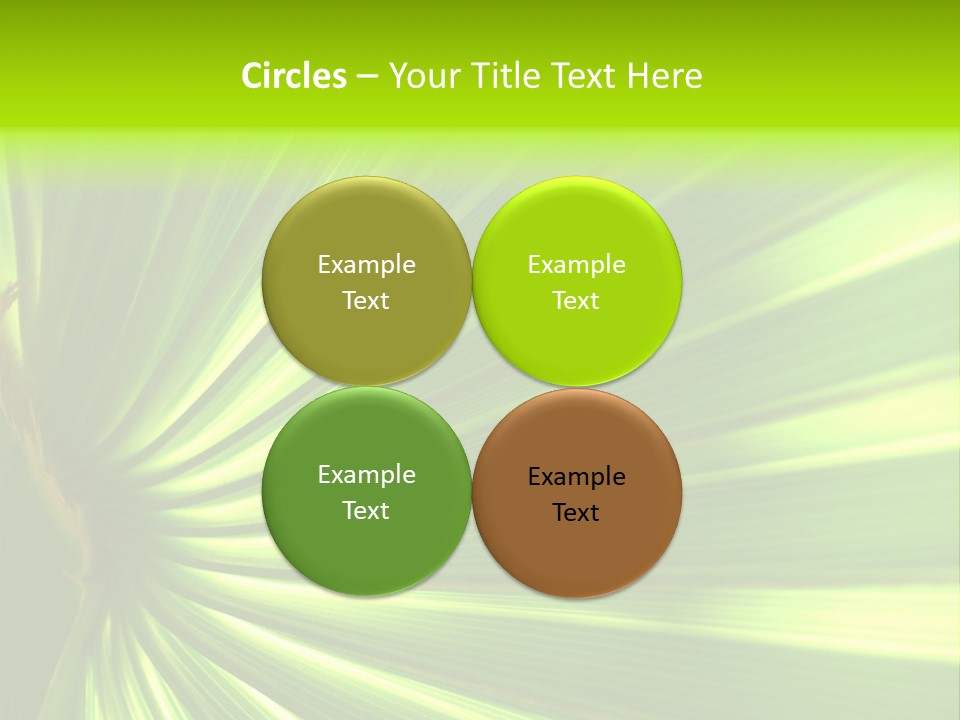 South Nature Yellow PowerPoint Template