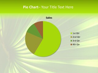 South Nature Yellow PowerPoint Template