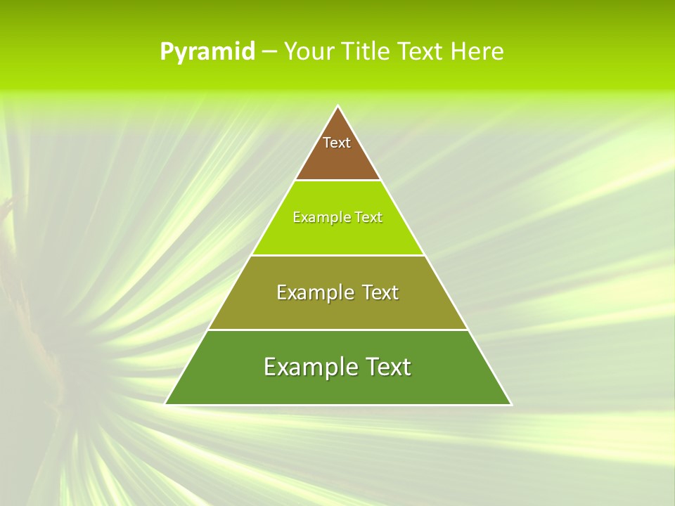 South Nature Yellow PowerPoint Template